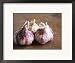 Fresh Violet and White Garlic, Clos Des Iles, Le Brusc, Cote d'Azur, Var, France Framed Art Poster Print by Per Karlsson, 21x17