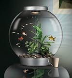 IMAGE OF biOrb Silver Aquarium Kit with Light