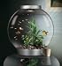 biOrb Silver Aquarium Kit with Light