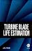 Book Turbine Blade Life Estimation