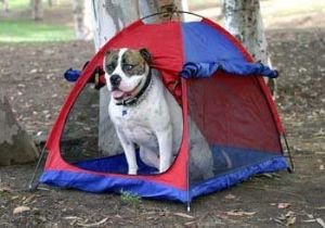 Outward Hound Pet Tent And Shade Shelter Medium 43x33.5x35h