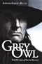 Grey Owl