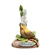 Nature's Gifts God Provides Bird Rain Gauge
