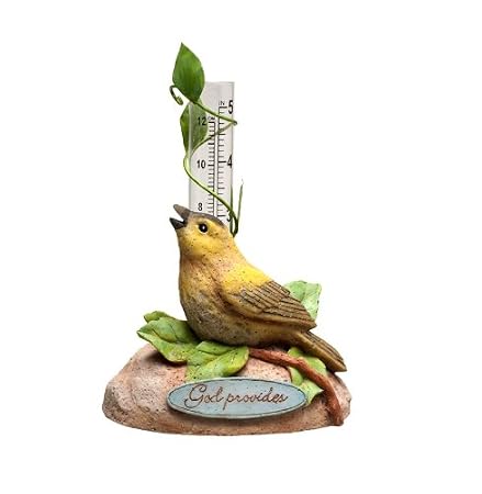 Nature's Gifts God Provides Bird Rain Gauge