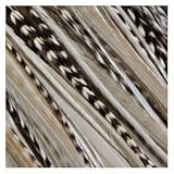 Sexy Sparkles 4-6 Zebrz Feather Hair Extension with 5 Salon Quality Feathers for Hair Extension with Black & White American Rooster Feathers