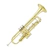 Cecilio Gold Plated B Flat Trumpet with Hard Shell Carrying Case