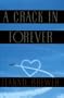 A CRACK IN FOREVER: A Novel
