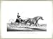 Auburn horse: driven by his owner Robert Bonner, Esq.-to whom the print is respectful...
