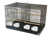 Aviary Bird Cage