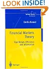 Financial Markets Theory: Equilibrium, Efficiency and Information (Springer Finance)