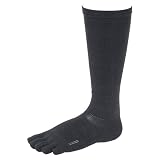 (�_���X�L��)DANSKIN ����5�{�w�����O�\�b�N�X DA90301 CH �`���R�[�� 22