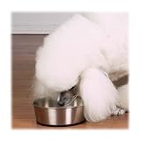 ProSelect Stainless Steel Dog Bowl with Rubber Base, 8-Inch, 52-Ounce