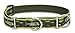 LupinePet 1-Inch Brook Trout 19-27-Inch Martingale Combo Collar for Large Dogs
