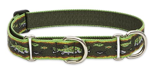 LupinePet 1-Inch Brook Trout 19-27-Inch Martingale Combo Collar for Large Dogs