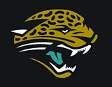 Heath Outdoor 27117 3-Feet by 5-Feet Jacksonville Jaguars Flag