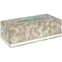 Green Forest Facial Tissue, White, Assorted Prints, Case Pack, Twenty-Four 175-Count Packs (4200 Tissues)