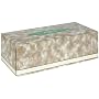 Green Forest Facial Tissue, White, Assorted Prints, Case Pack, Twenty-Four 175-Count Packs (4200 Tissues)