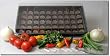 Indoor Mexican Salsa Garden Starter Kit- Seeds: Beefsteak Tomato, Tomatillo, Cayenne Long Red,
