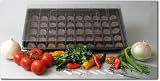 Indoor Mexican Salsa Garden Starter Kit- Seeds: Beefsteak Tomato, Tomatillo, Cayenne Long Red, Anaheim Chile, Jalapeno, Serrano, White Sweet Spanish Onions, Cilantro & More