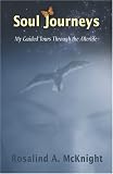 Soul Journeys: My Guided Tours Through the Afterlife: My Guided Tours through the Afterlife