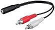 Wentronic Audio/Video Kabel (3,5mm stereo Kupplung auf 2x Cinchstecker) 0,2 m