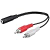 Wentronic Audio/Video Kabel (3,5mm stereo Kupplung auf 2x Cinchstecker) 0,2 m