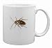 Cockroach Mug