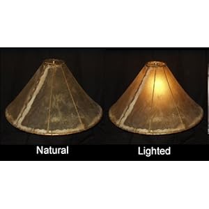 Western Floor Lamps on Amazon Com  Western Rawhide Lamp Shade 24   Floor Lamp   Home