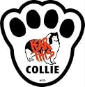 Fear This Collie Dog Pawprint Window Decal