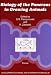 Biology of the Pancreas in Growing Animals