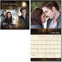 New Moon 2010 Wall Calendar