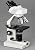 AmScope 40X-2000X Biological Binocular Compound Microscope with Mechanical Stage