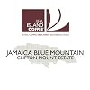 Sea Island Jamaican Blue Mountain Coffee - Whole Bean - 110g