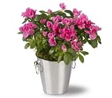 Teleflora