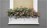 Fairfield 36 Window Box - White by Mayne