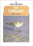 The curlew