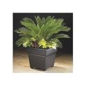 Countryside Tub Planter - 14 Inch White