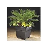 Countryside Tub Planter - 14 Inch White