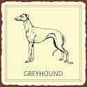 Greyhound Sign, Size 12" w X 12" h