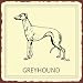 Greyhound Sign, Size 12