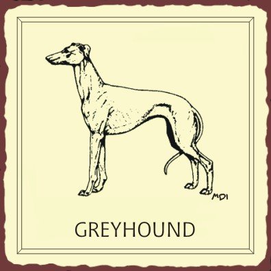 Buy Greyhound Sign, Size 12″ w X 12″ h
