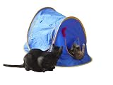 Pet Supplies : Feline Funhouse Indoor Play / Nap Tent