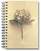 Hydrangea Journal (Wire-O Journals)