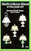 Aladdin Collectors Manual & Price Guide # 19 : Kerosene Mantle Lamps
