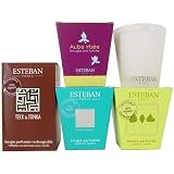 Esteban Decorative Scented Candle with Essential Oils