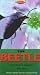 Animal Families: The Beetle, Dolphins & Whales, The Ants [VHS]