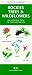 Book Rockies Trees & Wildflowers: An Introduction to Familiar Species (Pocket Naturalist)