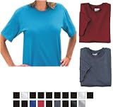 Hanes Heavyweight 50/50 - 50/50 Cotton/Poly T-Shirt (5170)