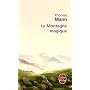 La Montagne magique de Thomas Mann
