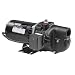 Wayne SWS50 1/2 HP 384 GPH Shallow Well Jet Pump, Cast Iron